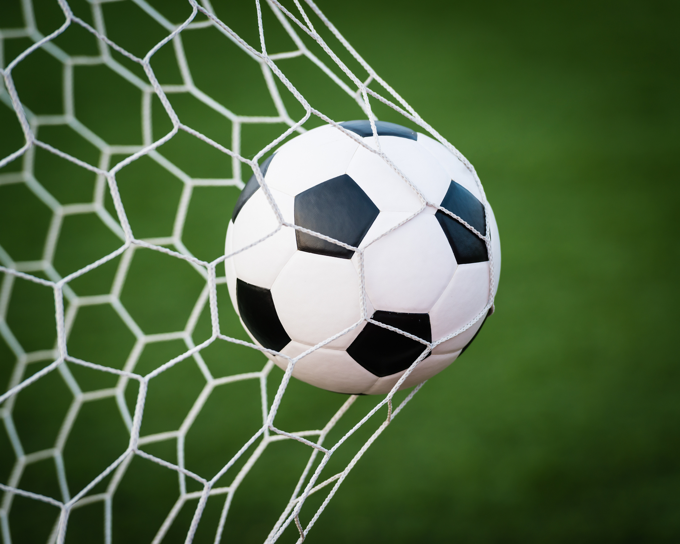 Soccer Ball in Net